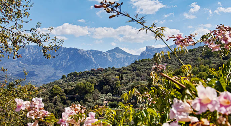 Tramuntana-Gebirge